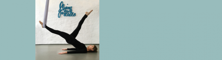 Flying Pilates – Pilates Boutique